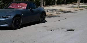 Ζάππειο