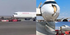 Το πουλί προκάλεσε τεράστια ζημιά στο ρύγχος του Airbus