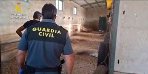 Οι αστυνομικοί που ανακαλύπτουν τα νεκρά σκυλιά στο αγρόκτημα