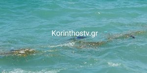 Το ΙΧ στη θάλασσα