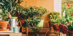 Μικρό μπαλκόνι με φυτά/ Φωτογραφία: Shutterstock