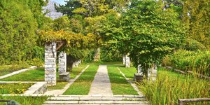 Βοτανικός κήπος Διομήδους