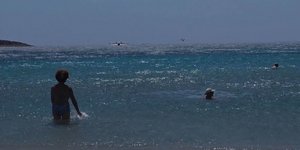 Ανεφοδιασμός Canadair στην Ανάβυσσο μπροστά σε λουόμενους