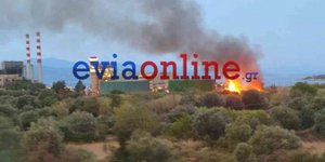 eviaonline