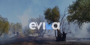 Από τη φωτιά που ξέσπασε στη βόρεια Εύβοια