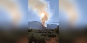 Φωτιά Γαρδίκι Θεσπρωτίας