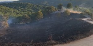 Φωτιά Γρεβενά