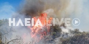 Φωτιά στο Πηγάδι Ηλείας