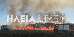 Φωτιά σε δασική έκταση στην Αρετή Ηλείας