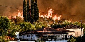 Φωτιά στο χελιδόνι Ηλείας
