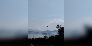 Φωτιά Καρδίτσα