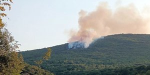 Φωτιά σε δασική έκταση στο Μακρυχώρι Καβάλας