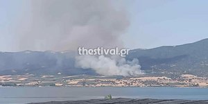 Φωτιά στη Μεγάλη Βόλβη