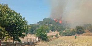 Φωτιά στην Ποταμούλα Αιτωλοακαρνανίας