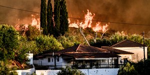 Φωτιά στο Χελιδόνι Ηλείας