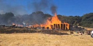 Οριοθετήθηκε η φωτιά στον Χορτιάτη στη Θεσσαλονίκη