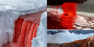 Οι Blood Falls βρίσκονται στον παγετώνα Taylor, στις McMurdo Dry Valleys της Ανατολικής Ανταρκτικής, μια από τις πιο ξηρές και ερημικές περιοχές στον κόσμο / WIKIPEDIA
