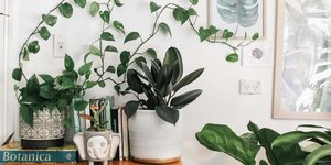 Φωτογραφία Unsplash