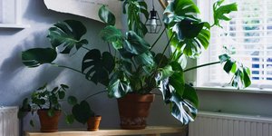 Φωτογραφία Unsplash