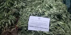 Φυτεία Αιτωλοακαρνανία