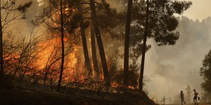 Πυρκαγιές στην Ισπανία