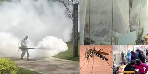 Συναγερμός στην Κίνα για τον ιό τσικουνγκούνια 