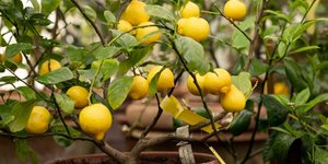 Φωτογραφία Shutterstock 