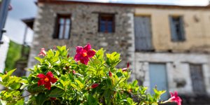 Η Βαμβακού στη Λακωνία 