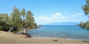 Παραλία «Τζιτζίκια»