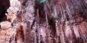 Κάτω από τους σταλαγμίτες, τα οστά 46 διαφορετικών ζώων - θηλαστικών, πτηνών, ψαριών - ξεδιπλώνουν την ιστορία ενός κόσμου που χάθηκε στο βάθος των εποχών / SHUTTERSTOCK