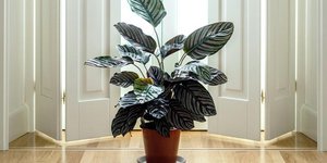 Πότισμα/Φωτογραφία Unsplash