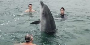 Η Marine Management Organisation εξέδωσε ανακοίνωση καλώντας το κοινό να αποφεύγει την επαφή με τον Reggie / FACEBOOK