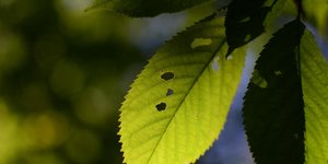Φωτογραφία: Unsplash