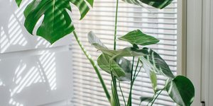 Φωτογραφία Unsplash