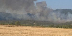 Φωτιά στη Βόλβη