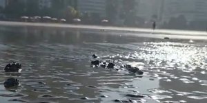 Παραλία στην Βραζιλία «ξύπνησε» χωρίς νερό στη θάλασσα