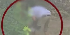 Ο άνδρας και ιδιοκτήτης δύο σκύλων μαζεύει τις νεκρές γάτες που κατασπάραξαν τα κατοικίδιά του