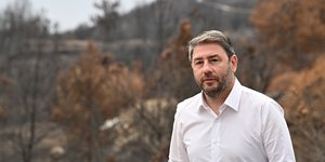 Νίκος Ανδρουλάκης