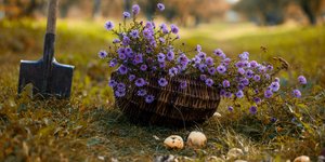 Το φυτό-έκπληξη του φθινοπώρου που λατρεύουν οι κηπουροί