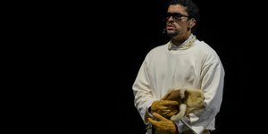 Bad Bunny