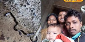 Δηλητηριώδες φίδι σκότωσε δύο παιδιά ηλικίας 4 και 7 ετών, ο πατέρας σε σοβαρή κατάσταση