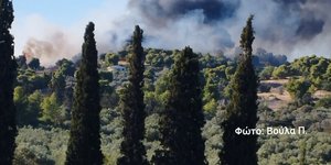 Φωτιά στο Κουνούπι Αργολίδας