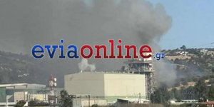 Φωτιά Εύβοια