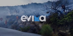 Φωτιά στο Βατήσι Καρύστου