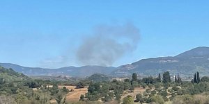 Φωτιά στη Λιοδώρα Αρκαδίας