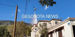 Φωτιά στον Άγιο Ονούφριο Μαγνησίας