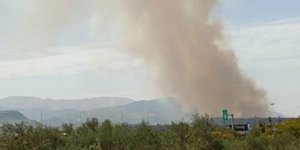 Φωτιά στο Άλσος Αχαΐας