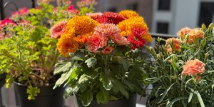 Φωτογραφία Shutterstock 