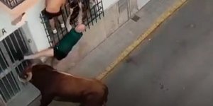 Η στιγμή της επίθεσης ταύρου σε 57χρονο κάτοικο της Ισπανίας