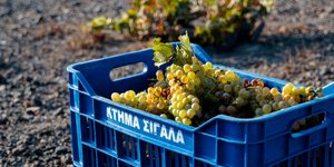 καφασι κτημα σιγαλα